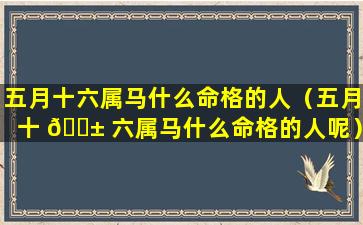 五月十六属马什么命格的人（五月十 🐱 六属马什么命格的人呢）